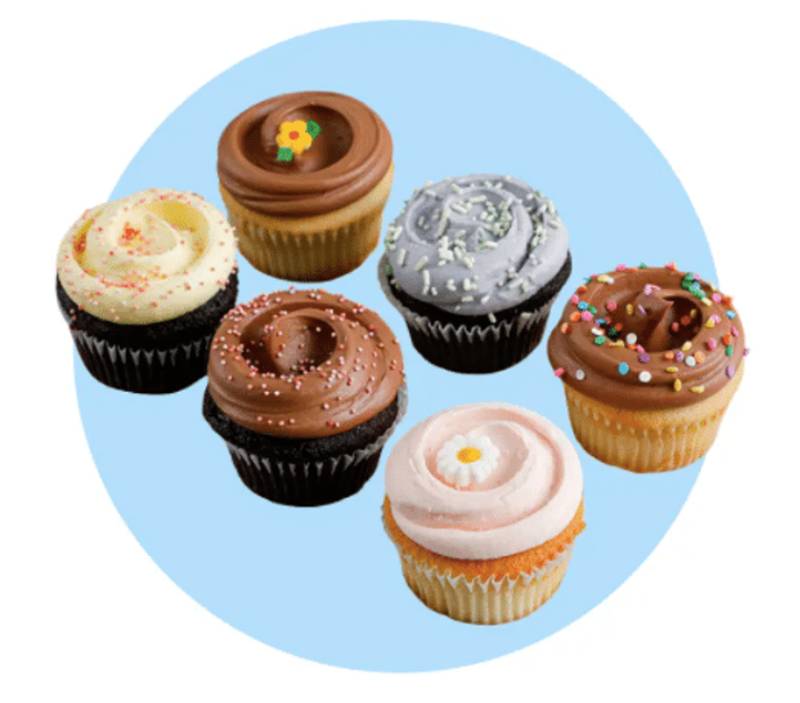 Famous Magnolia Bakery Cupcakes Delivered