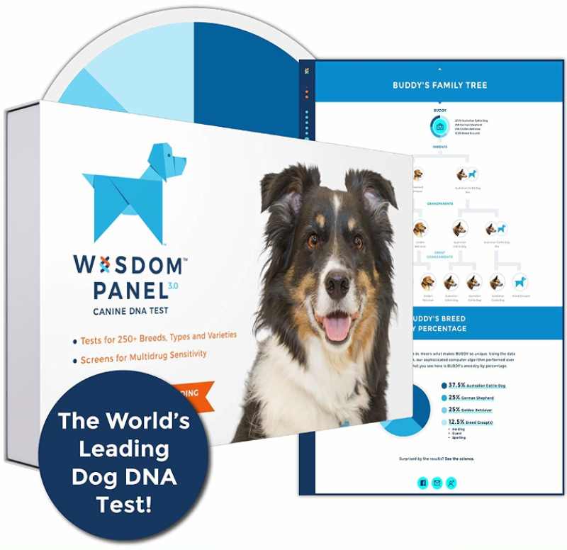 5Wisdom Panel Dog DNA Test